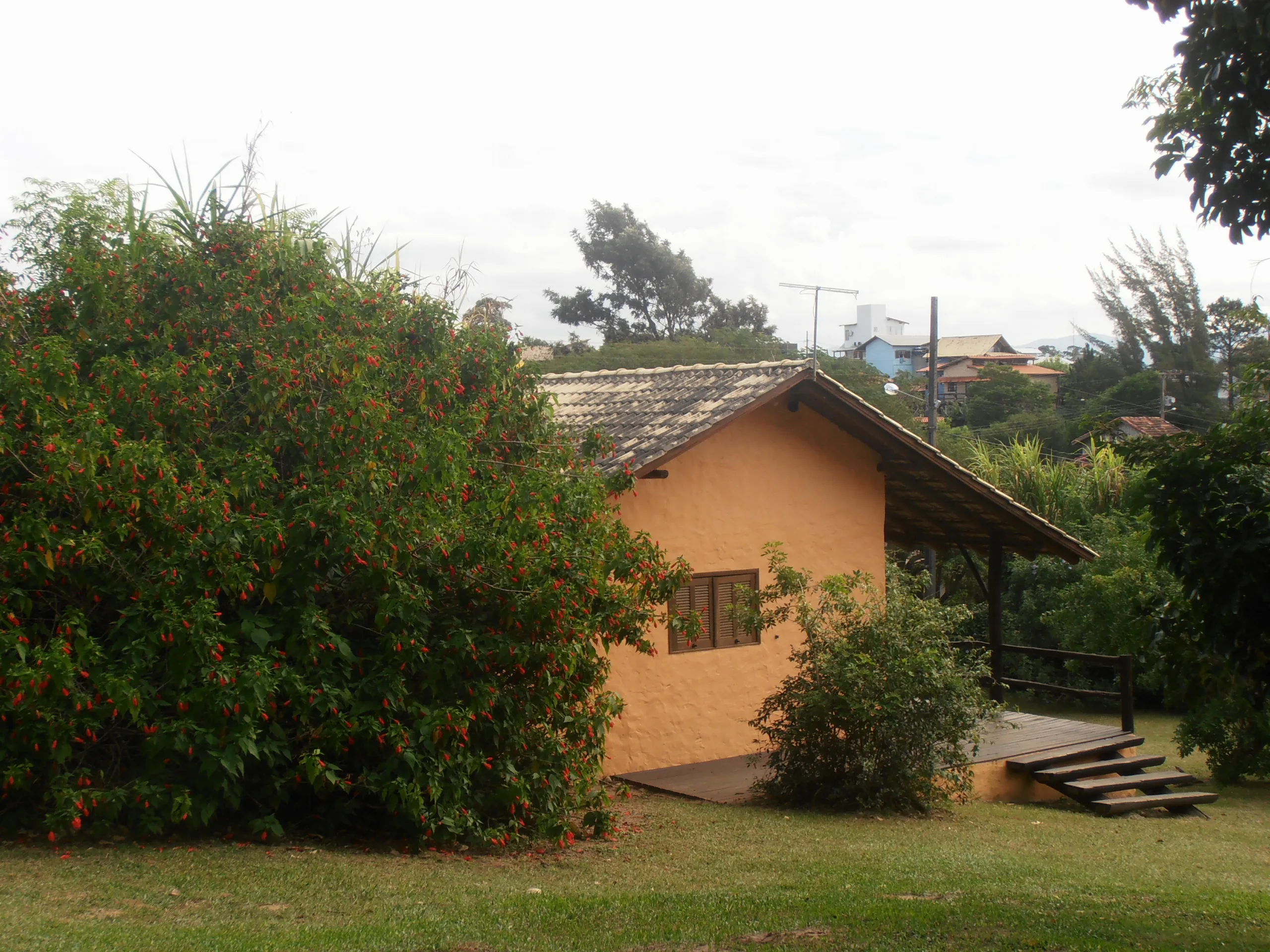Cabana 11 2019