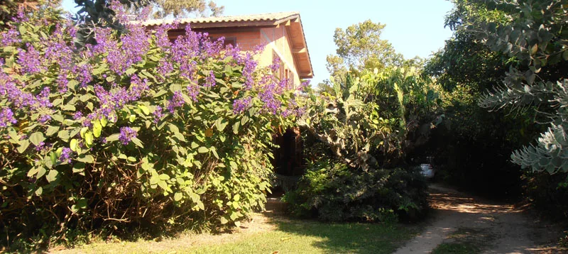 Jardim florido na entrada da Pousada Rosa & Canela