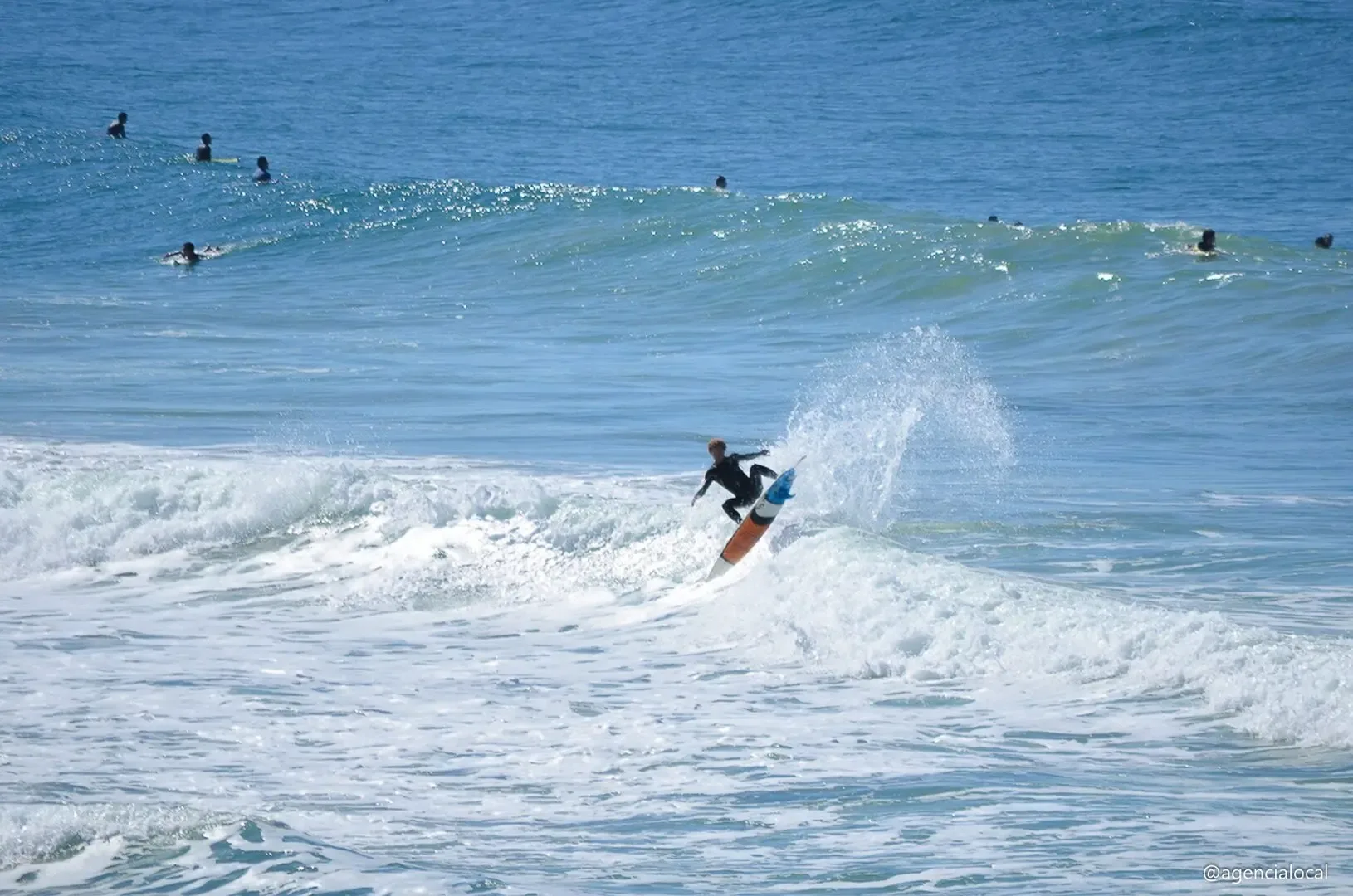 Surfista dropando onda na Praia do Rosa